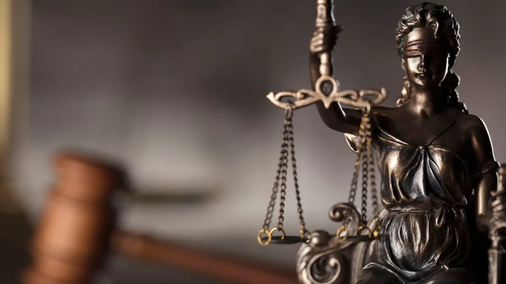 legal support for memecoin issuers